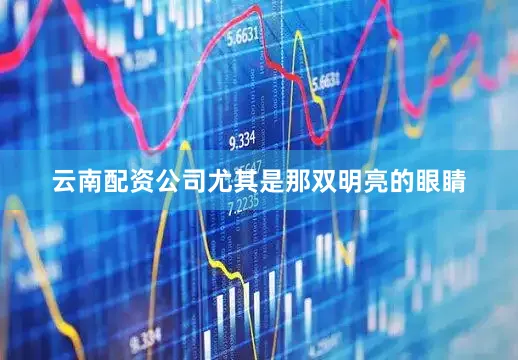 云南配资公司尤其是那双明亮的眼睛