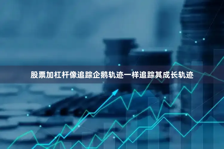 股票加杠杆像追踪企鹅轨迹一样追踪其成长轨迹