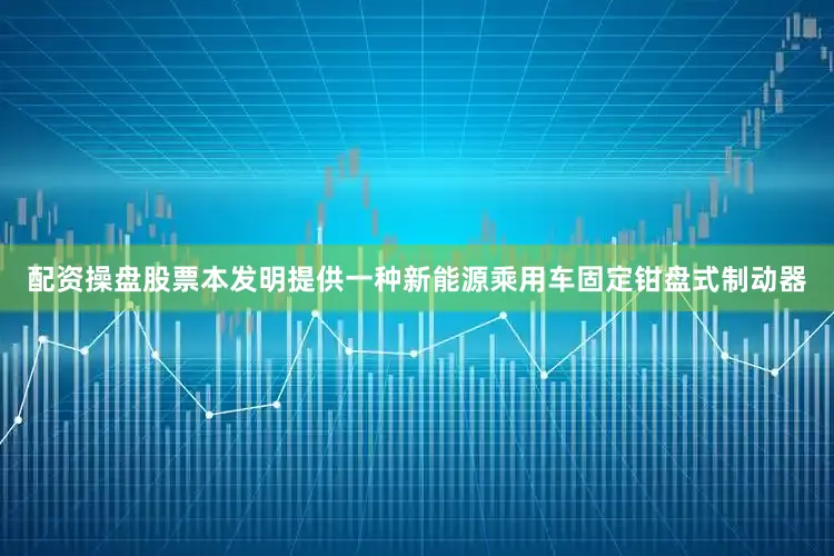 配资操盘股票本发明提供一种新能源乘用车固定钳盘式制动器