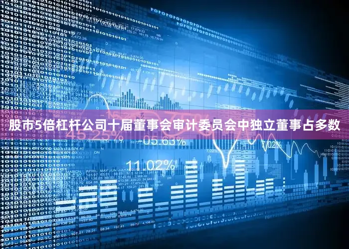 股市5倍杠杆公司十届董事会审计委员会中独立董事占多数