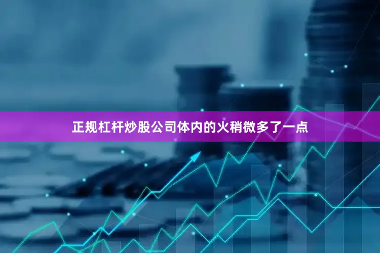 正规杠杆炒股公司体内的火稍微多了一点