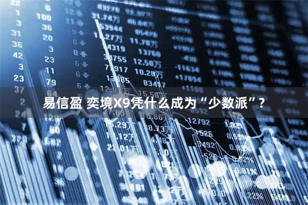 易信盈 奕境X9凭什么成为“少数派”?