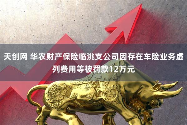 天创网 华农财产保险临洮支公司因存在车险业务虚列费用等被罚款12万元